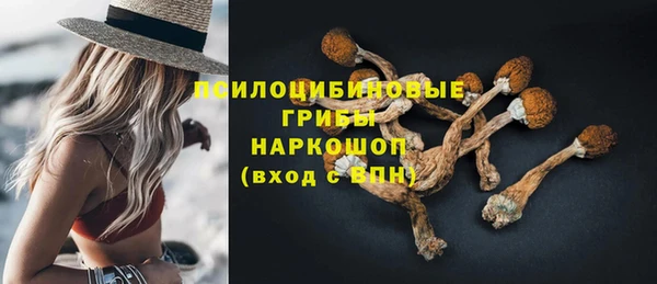 крисы Усинск