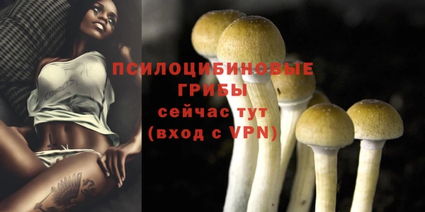 крисы Усинск